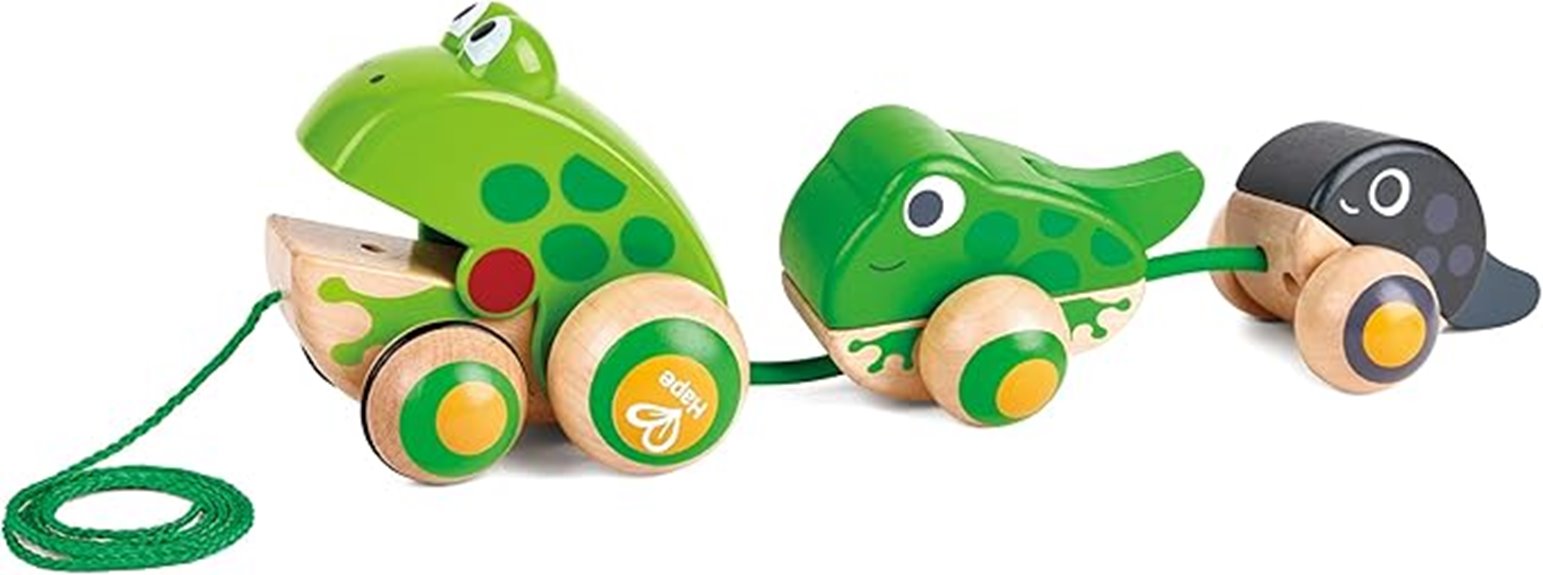 colorful wooden pull toy