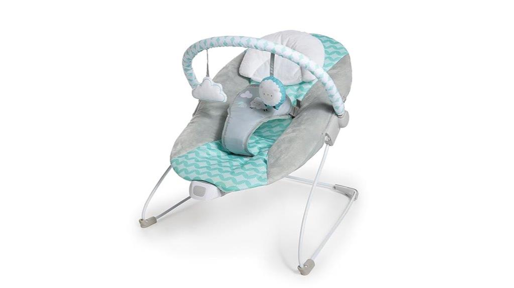 deluxe baby bouncer seat