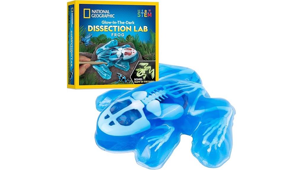 educational frog dissection kit