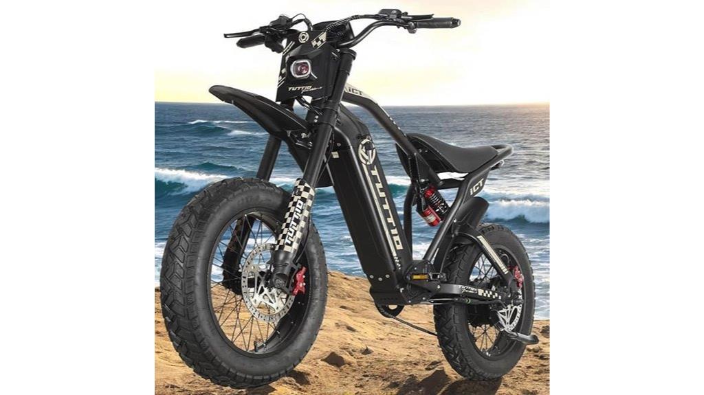 electric bike for everyone