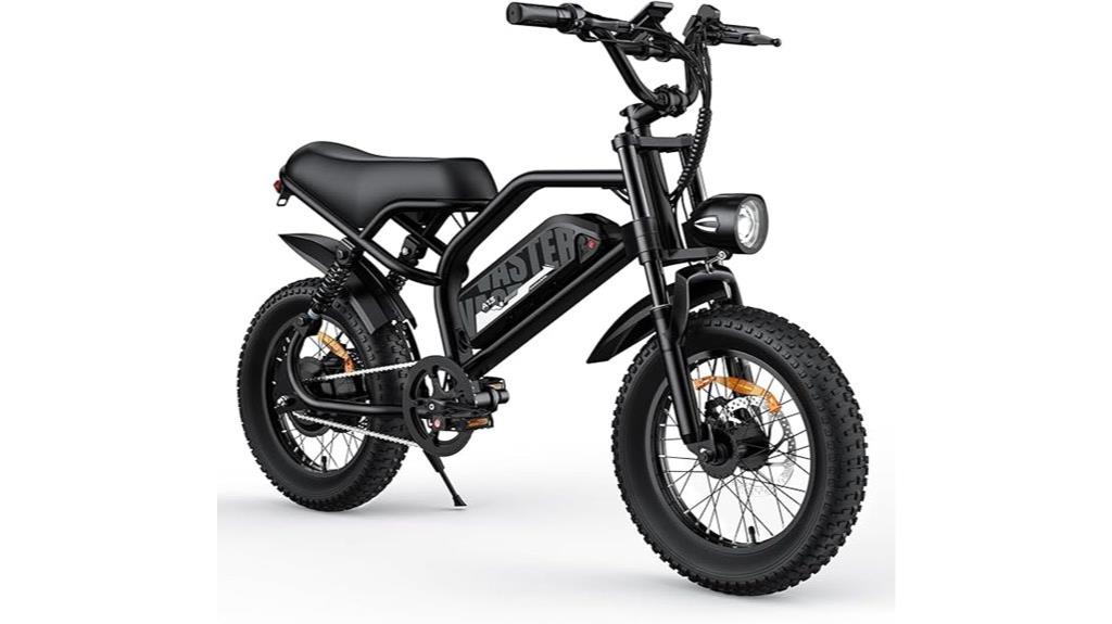 fat tire electric bike