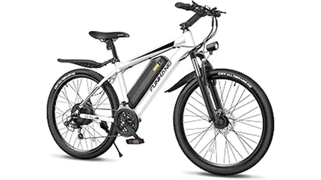 powerful adult electric bike
