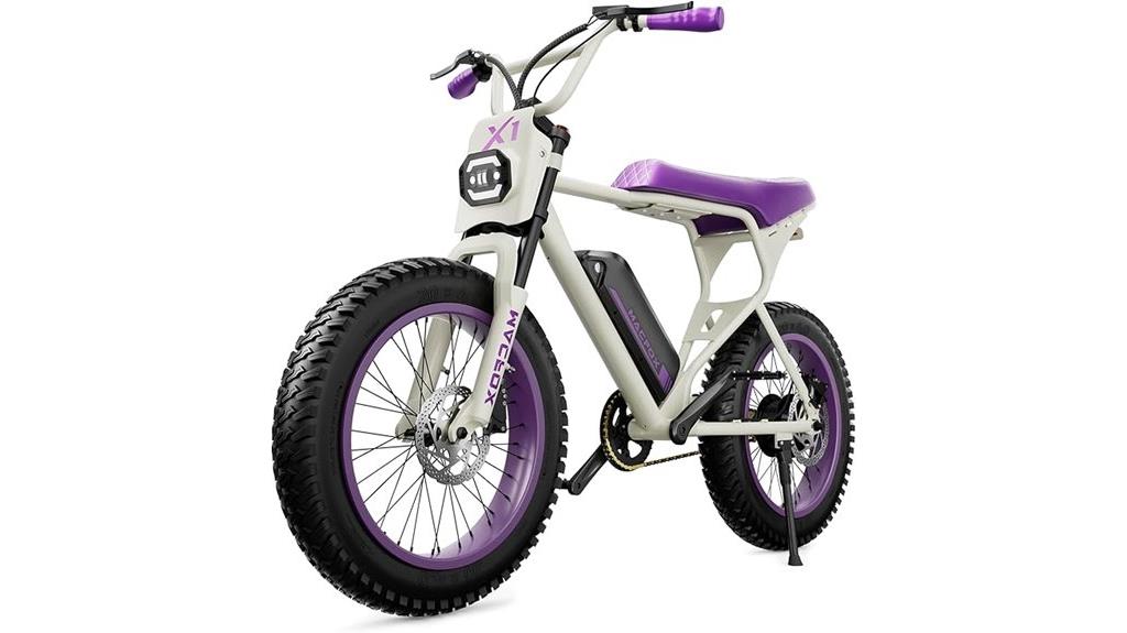 powerful fat tire bike