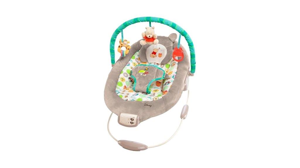 winnie the pooh bouncer