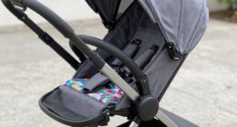 check brake lock mechanism