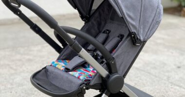 check brake lock mechanism