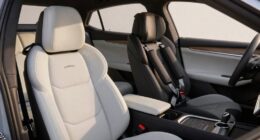 cost comparison of car seats