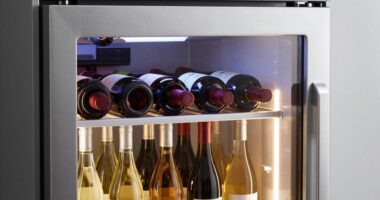 dual zone wine storage
