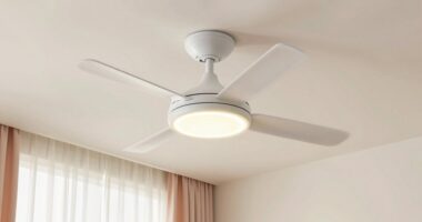 quiet nursery ceiling fan