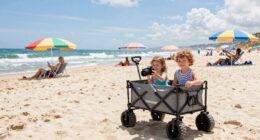 stroller wagon beach tips