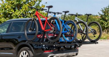 top 14 swing hitch racks