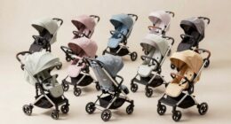 top 15 bassinet stroller combos