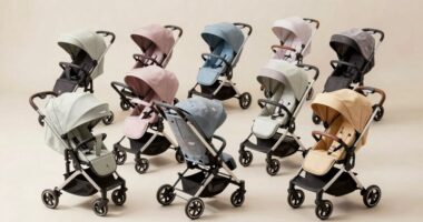 top 15 bassinet stroller combos