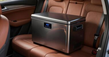 top 15 portable car freezers