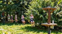 top backyard zip line kits