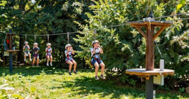 top backyard zip line kits