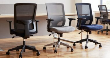 top ergonomic lumbar chair picks