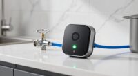 top leak detectors with shutoff