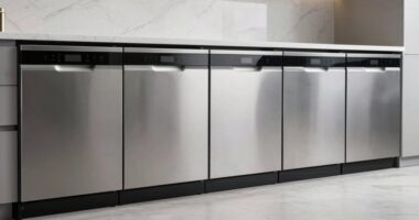 top quiet stainless dishwashers