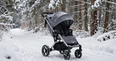 top snow all terrain strollers