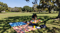 6 Best Family-Friendly Outdoor Picnic Sets in 2026