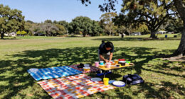 6 Best Family-Friendly Outdoor Picnic Sets in 2026