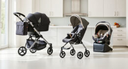 Best UPPAbaby / Nuna Strollers & Car Seats for Newborns