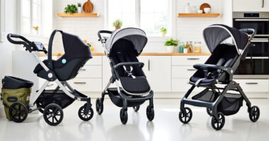 UPPAbaby / Nuna Vista V2 vs UPPAbaby / Nuna Nuna PIPA: Full Comparison
