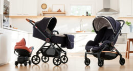 UPPAbaby Vista V2 vs Cruz V2: Full Comparison