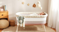 Baby Delight Beside Me Dreamer Review: September Bedside Sleep Help